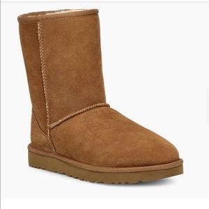 Chestnut Uggs